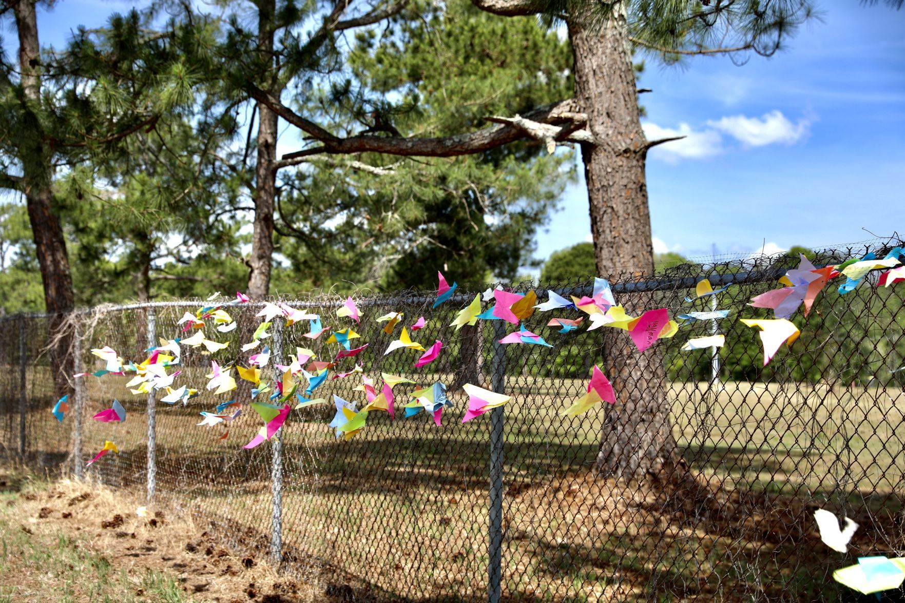Outdoor Art Exhibit